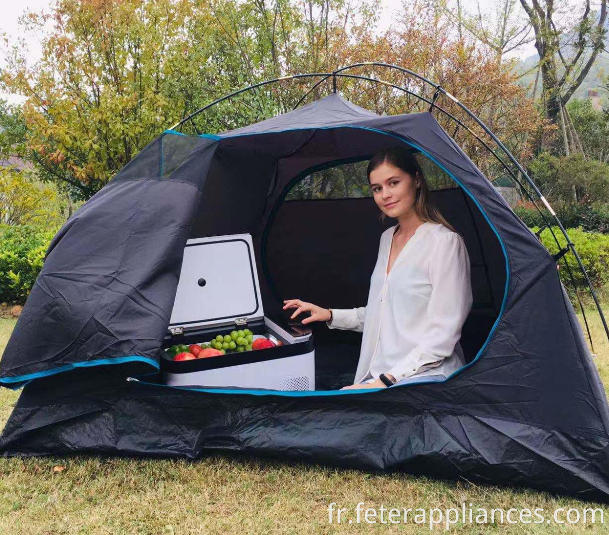 Congélateur de voiture 70L avec adaptateur AC DC